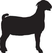 Boer Goat  4 Vinyl Sticker Decal Animal Silhouette Car