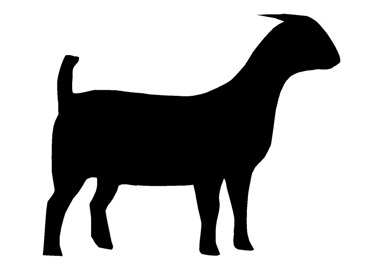 Boer Goat Clipart Boer Doe 355185518 Large Jpg