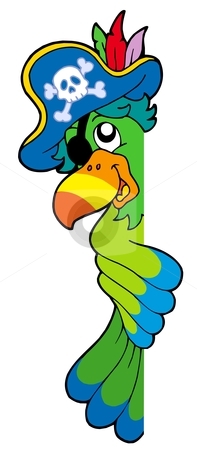 Pirate Parrot Clipart   Free Clip Art Images