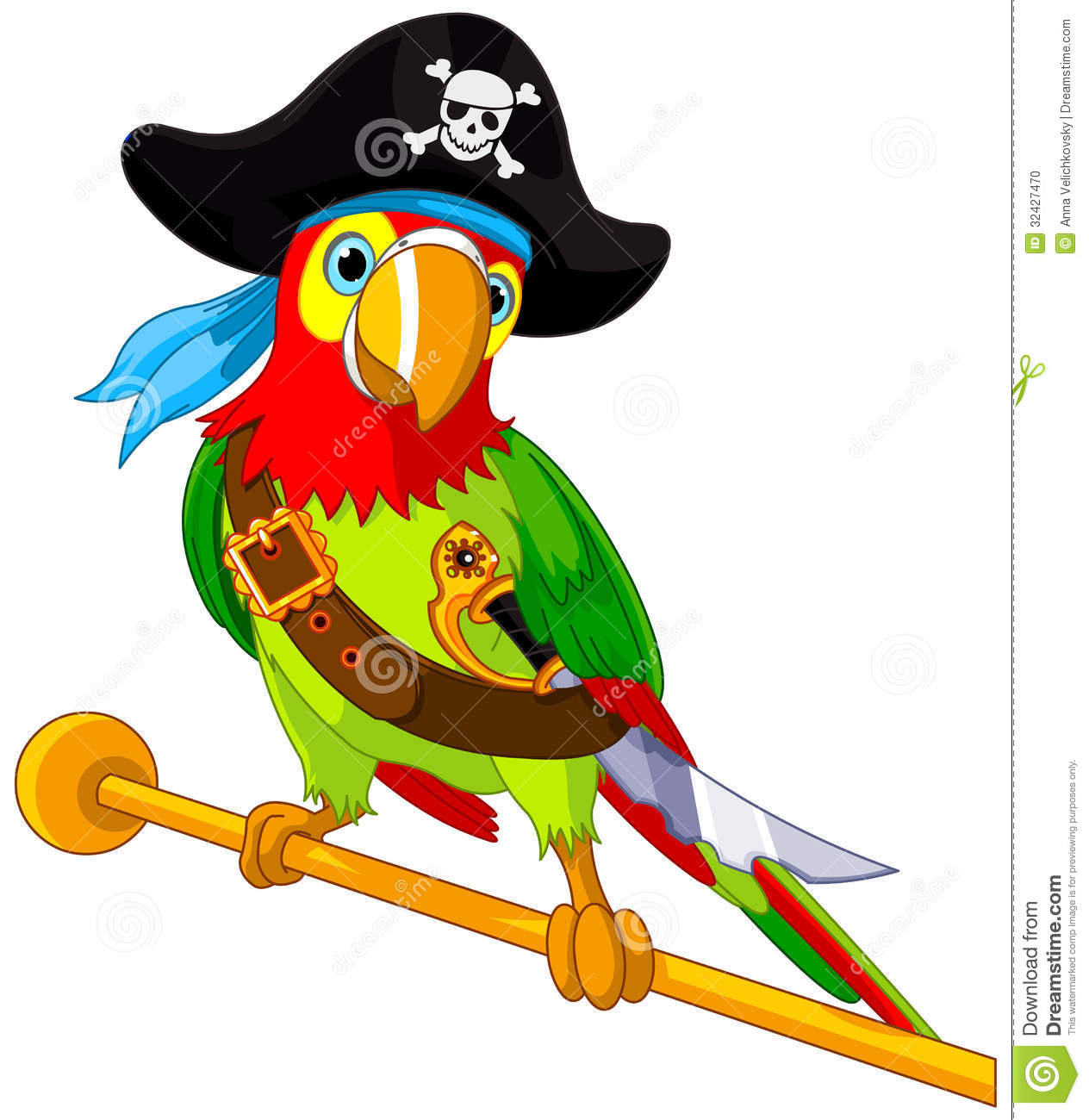 Pirate Parrot Stock Photo   Image  32427470