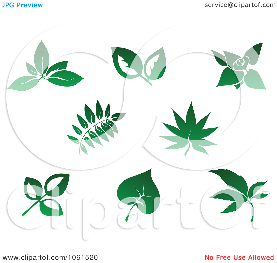 Vector Clip Art Illustration Of A Digital Collage Of Green Leaf Design