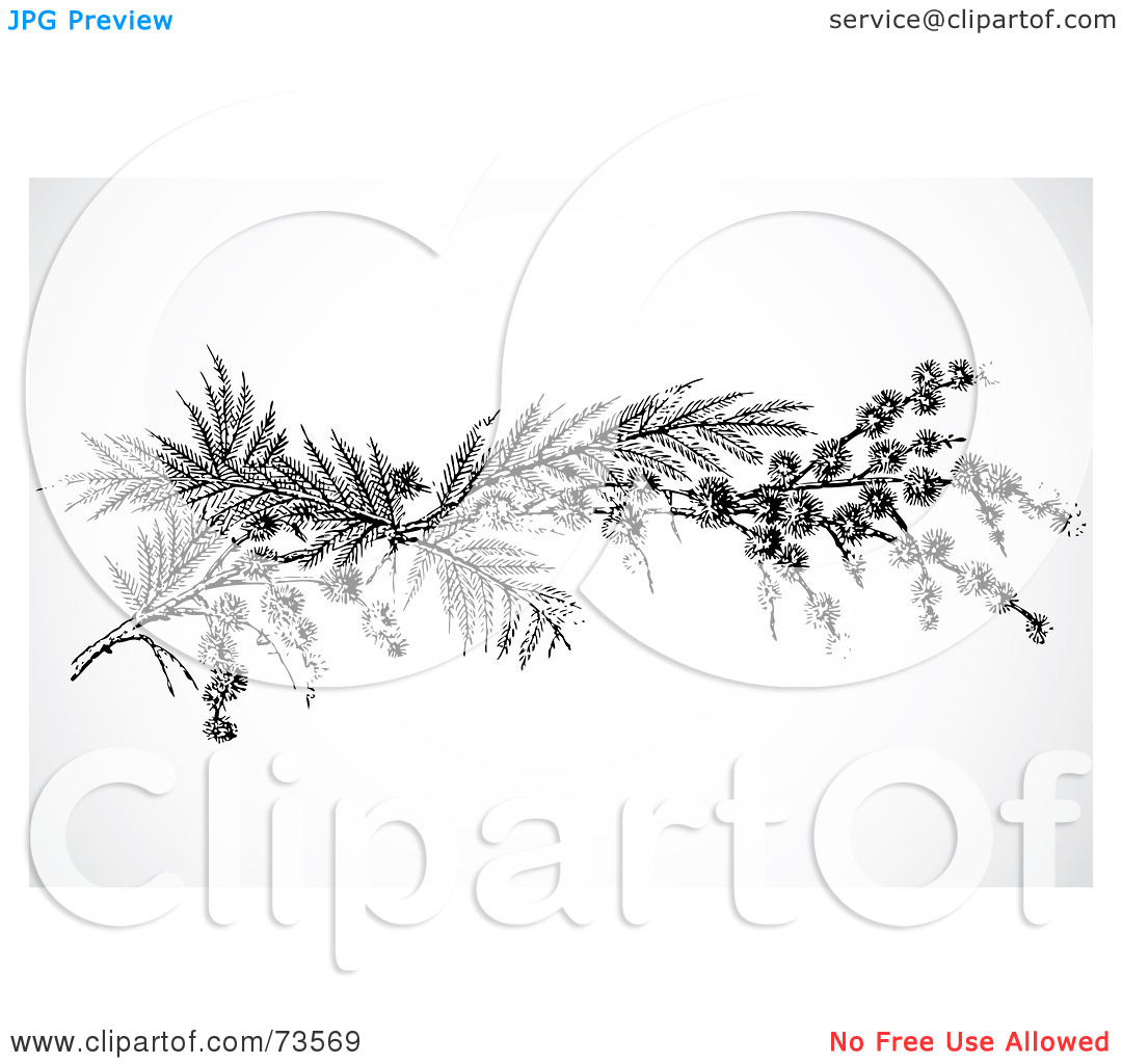 Royalty Free  Rf  Clipart Illustration Of A Black And White Twig