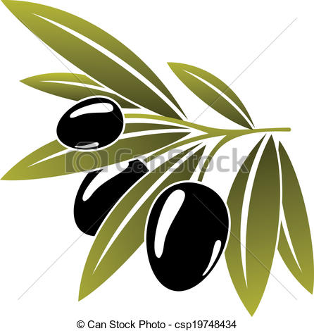 Vectors Of Leafy Green Twig With Ripe Black Olives   Leafy Green Twig    