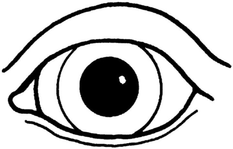 An Eye Coloring Page   Free Printable Coloring Pages