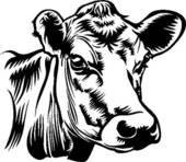 Cow Clip Art Vector Graphics  7144 Cow Eps Clipart Vector And Stock