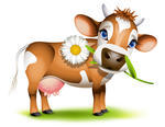 Little Daisy Comer De Vaca Jersey Vaca Jersey En Hierba