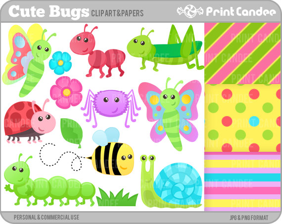 Cute Bugs   Digital Clip Art   Personal And Commercial Use   Insects    