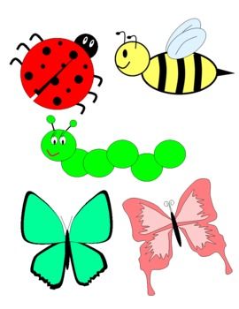 Cute Insect Clipart   Teaching Ideas   Pinterest