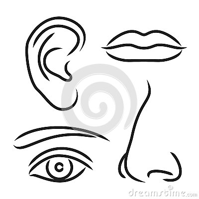 Human Nose Clipart Black And White Vector Illustration Nose Ear Mouth