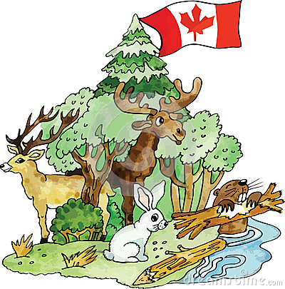 Canadian Animals Vector Illustration Stock Images   Image  30395104