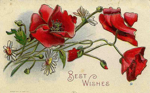 Free Vintage Mothers Day Cards Red Poppies   Into Vintage
