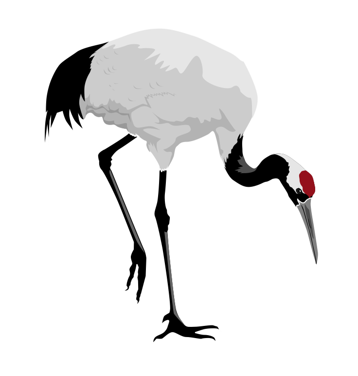 Japanese Crane Clip Art You Can Use This Clip Art Of