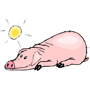 Pig Sunbathing Clipart Cliparts Of Pig Sunbathing Free Download  Wmf    