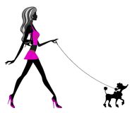 Dog Walking Glamour Woman Silhouette Royalty Free Stock Image   Image    