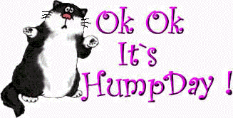 Name  Cat Hump Day Gifviews  10010size  18 1 Kb
