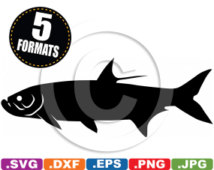 Tarpon Fish Clip Art Image   Svg   Dxf Cutting Files For Cricut And