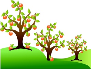 Apple Orchard Clipart   Clipart Best