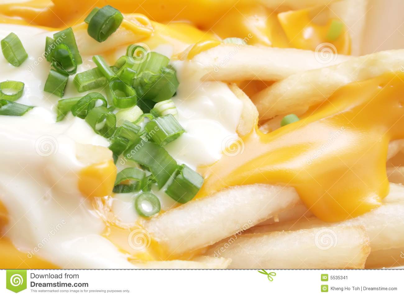 Cheese Fries With Spring Onions And Mayonaise