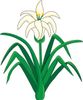 Easter Lily Clipart Spring Clipart Spring Clipart Spring Clip Art