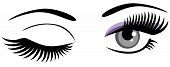 Eye Wink   Vector Illustration O Female Eyes With Make Up Winking