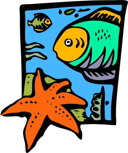 Fish Marine Life Starfish Clip Art At Clker Com   Vector Clip Art