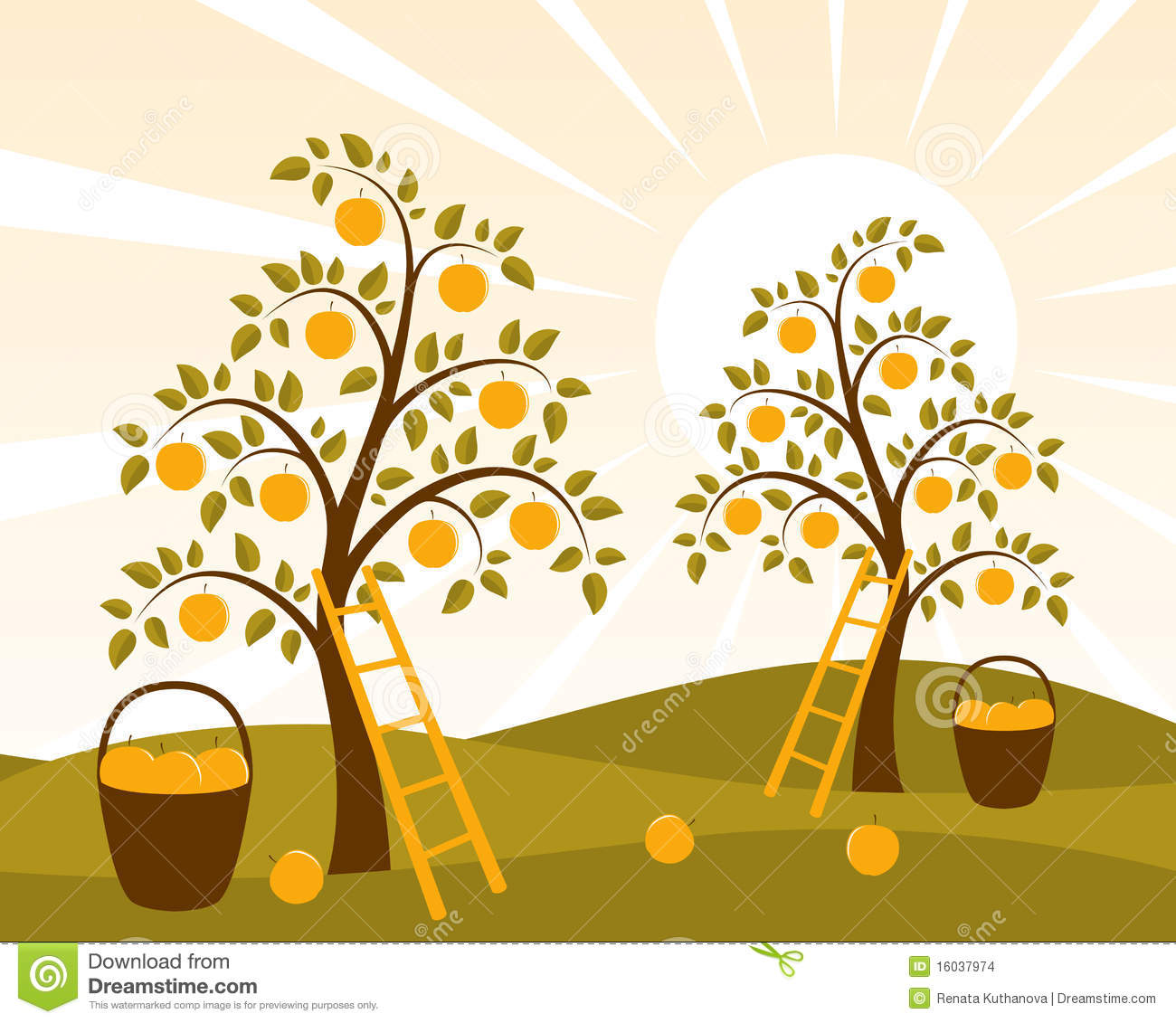 Illustrated Background With Apple Trees And Baskets Of Apples