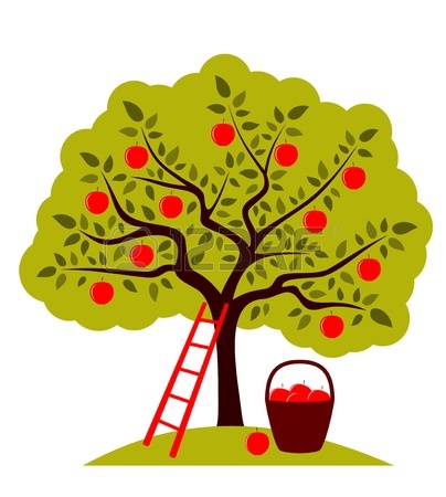 Realistic Apple Tree Drawing 12943050 Vector Apple Tree Ladder And