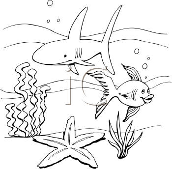 Royalty Free Shark Clip Art Fish And Sea Life Clipart