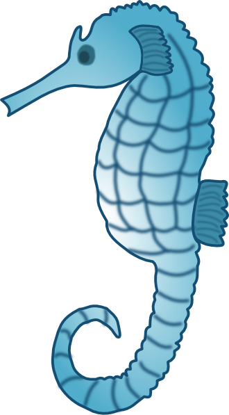 Seahorse Clip Art At Clker Com   Vector Clip Art Online Royalty Free