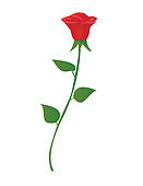 Single Red Rose Clip Art Pictures