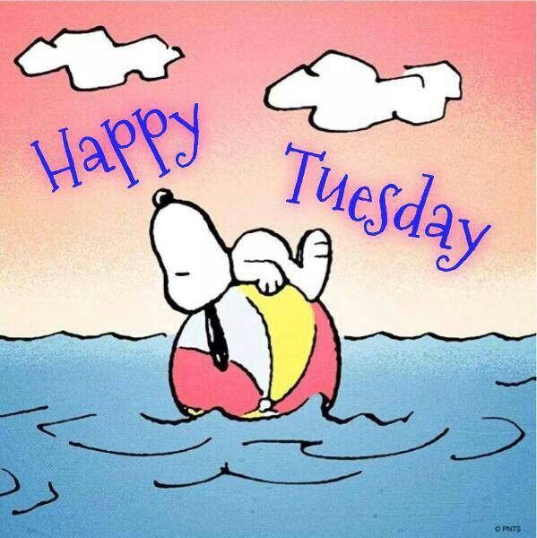     Snoopy Tuesday Happy Monday Tuesday Happy Tuesdays Tuesday Snoopy