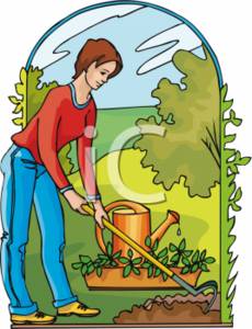 Vegetable Gardening Clipart