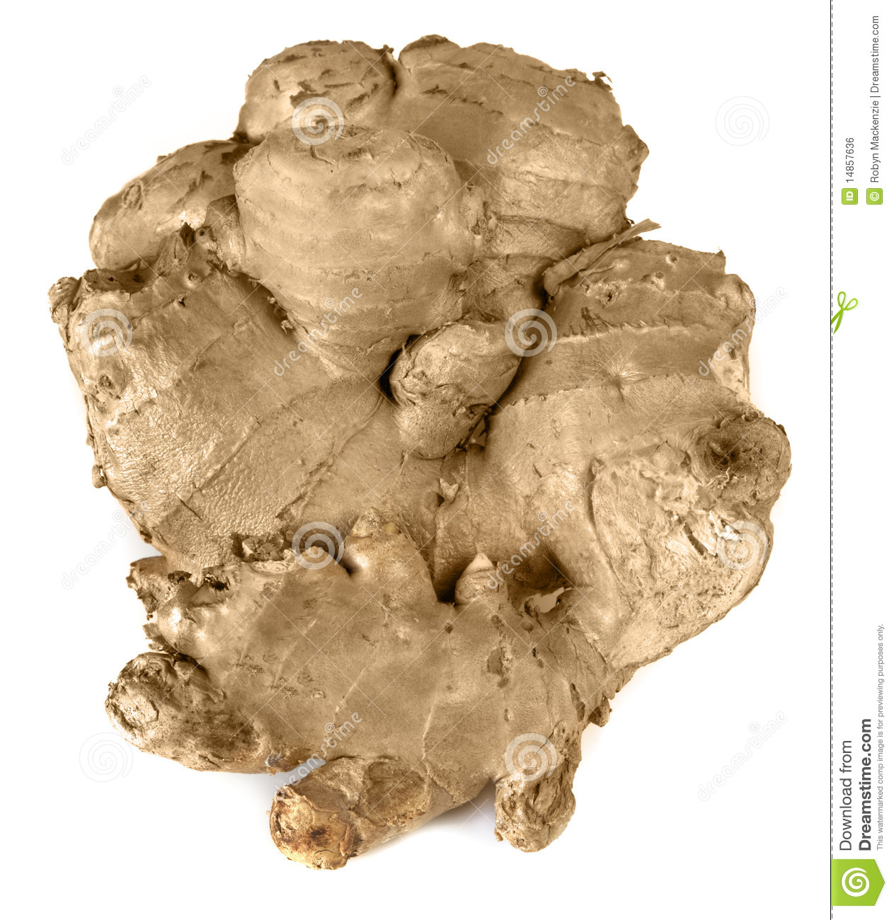 Ginger Root Royalty Free Stock Image   Image  14857636