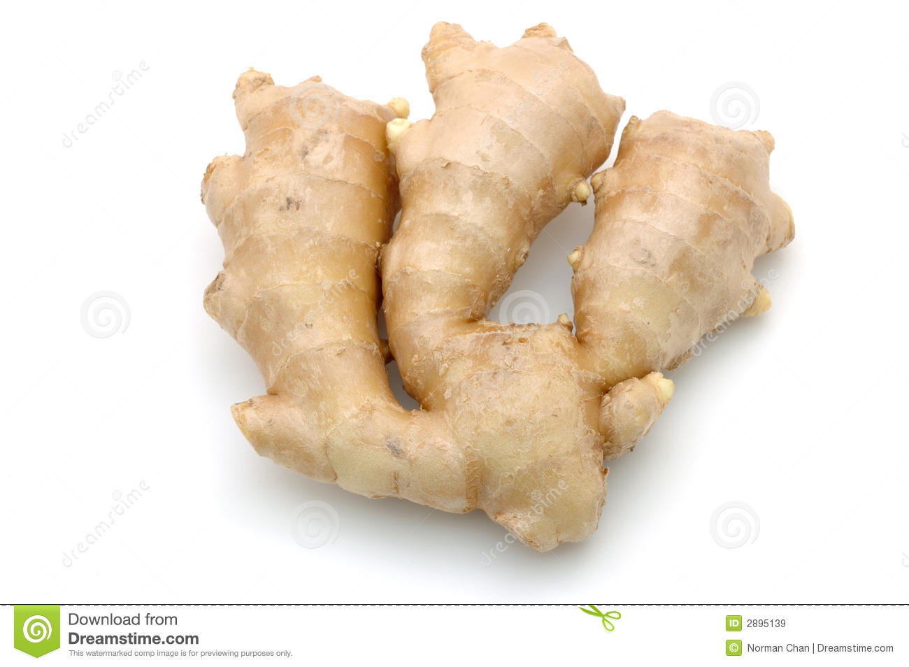 Ginger Root Royalty Free Stock Images   Image  2895139