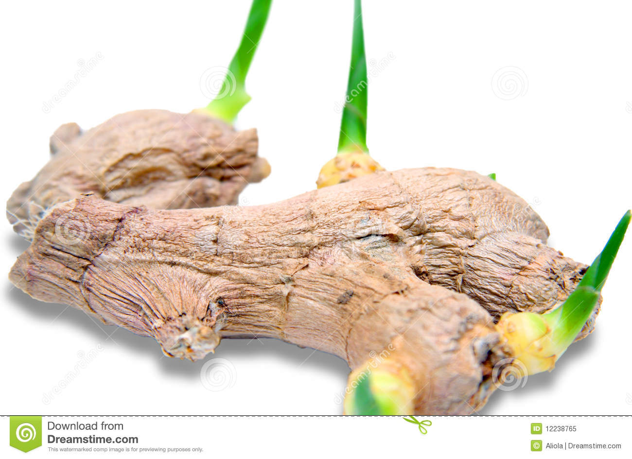 Ginger Root Royalty Free Stock Photo   Image  12238765