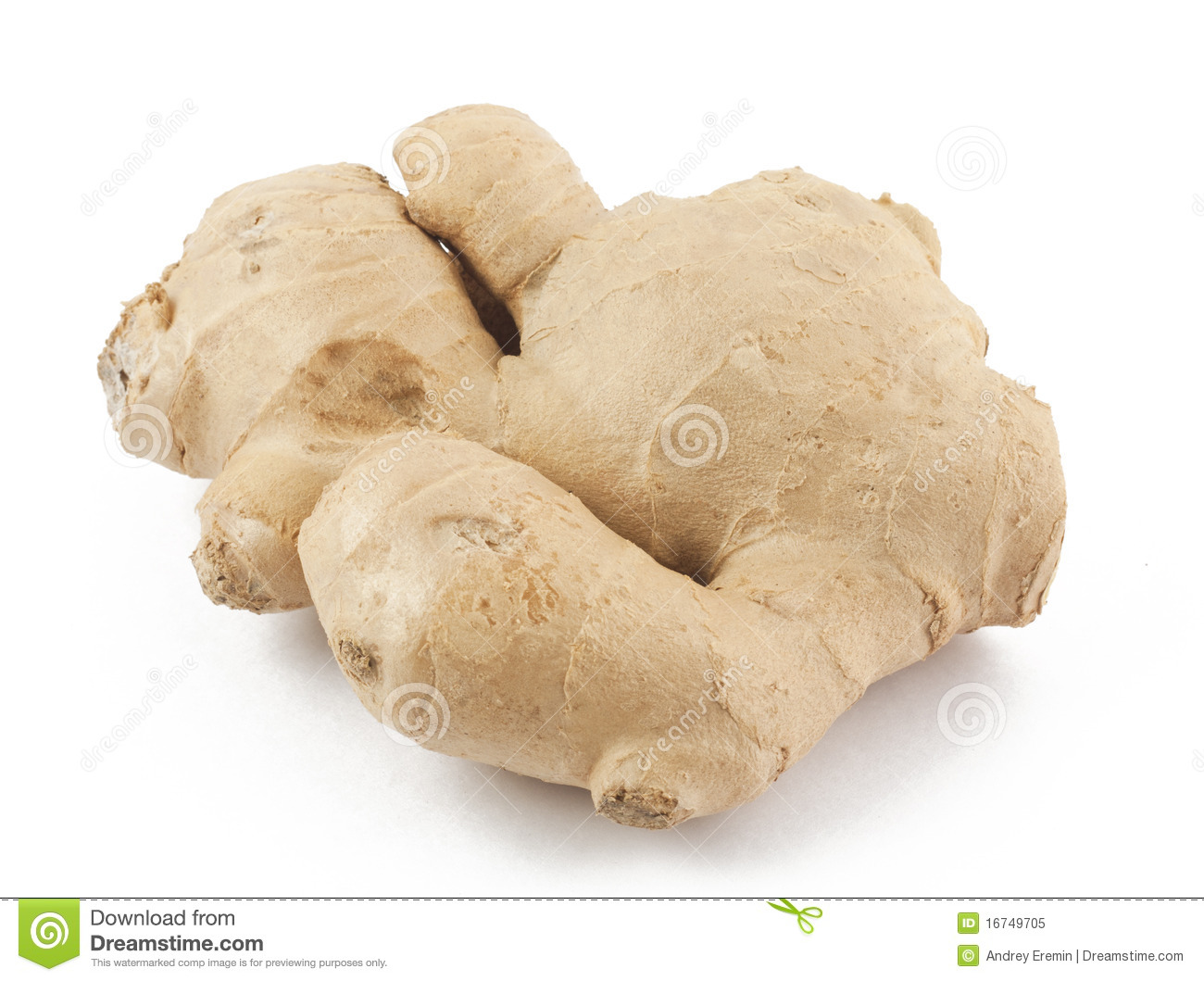 Ginger Root Royalty Free Stock Photo   Image  16749705