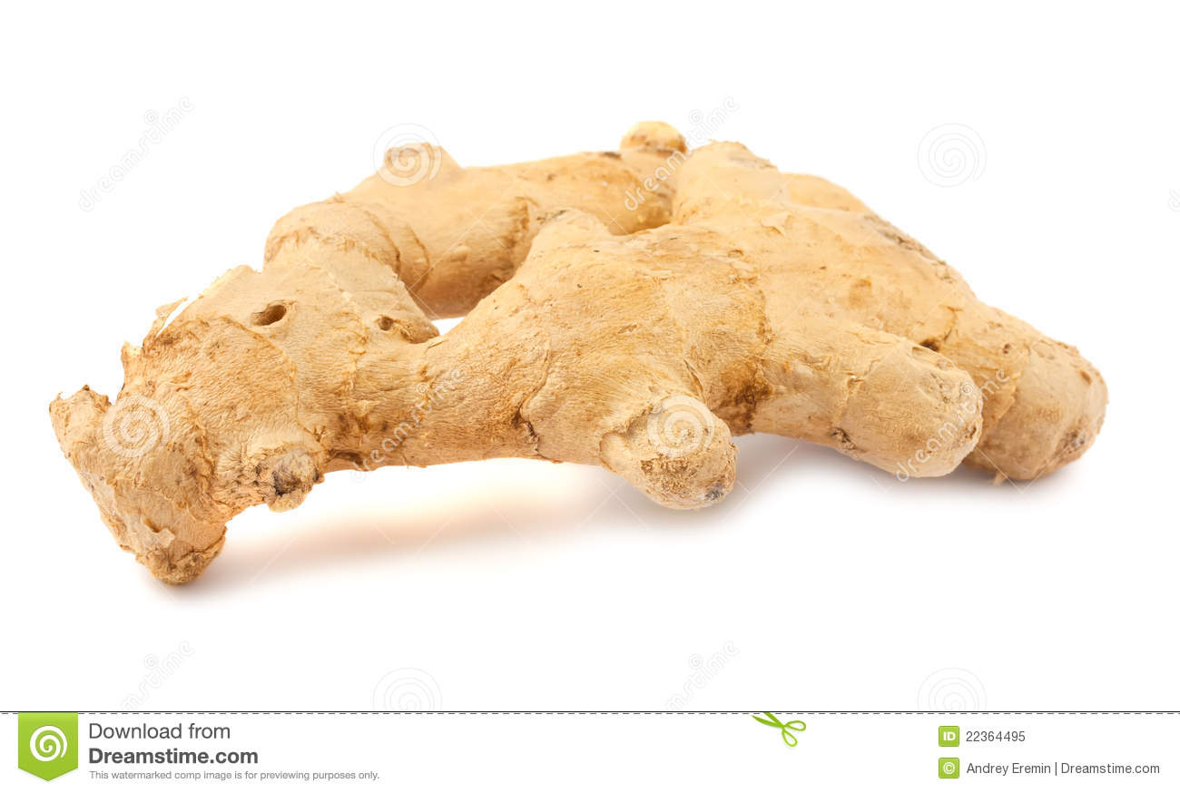 Ginger Root Royalty Free Stock Photo   Image  22364495