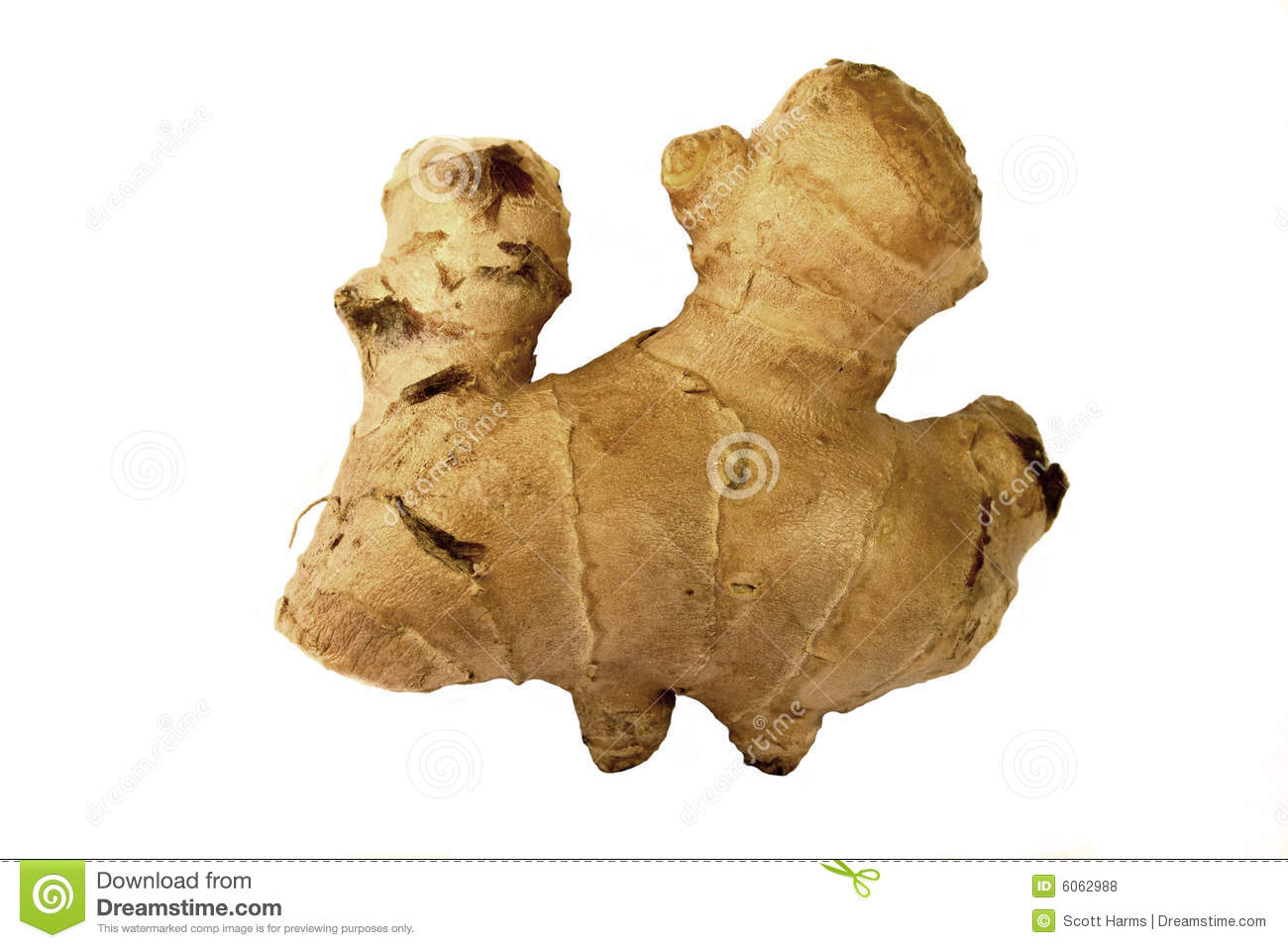 Ginger Root Royalty Free Stock Photos   Image  6062988