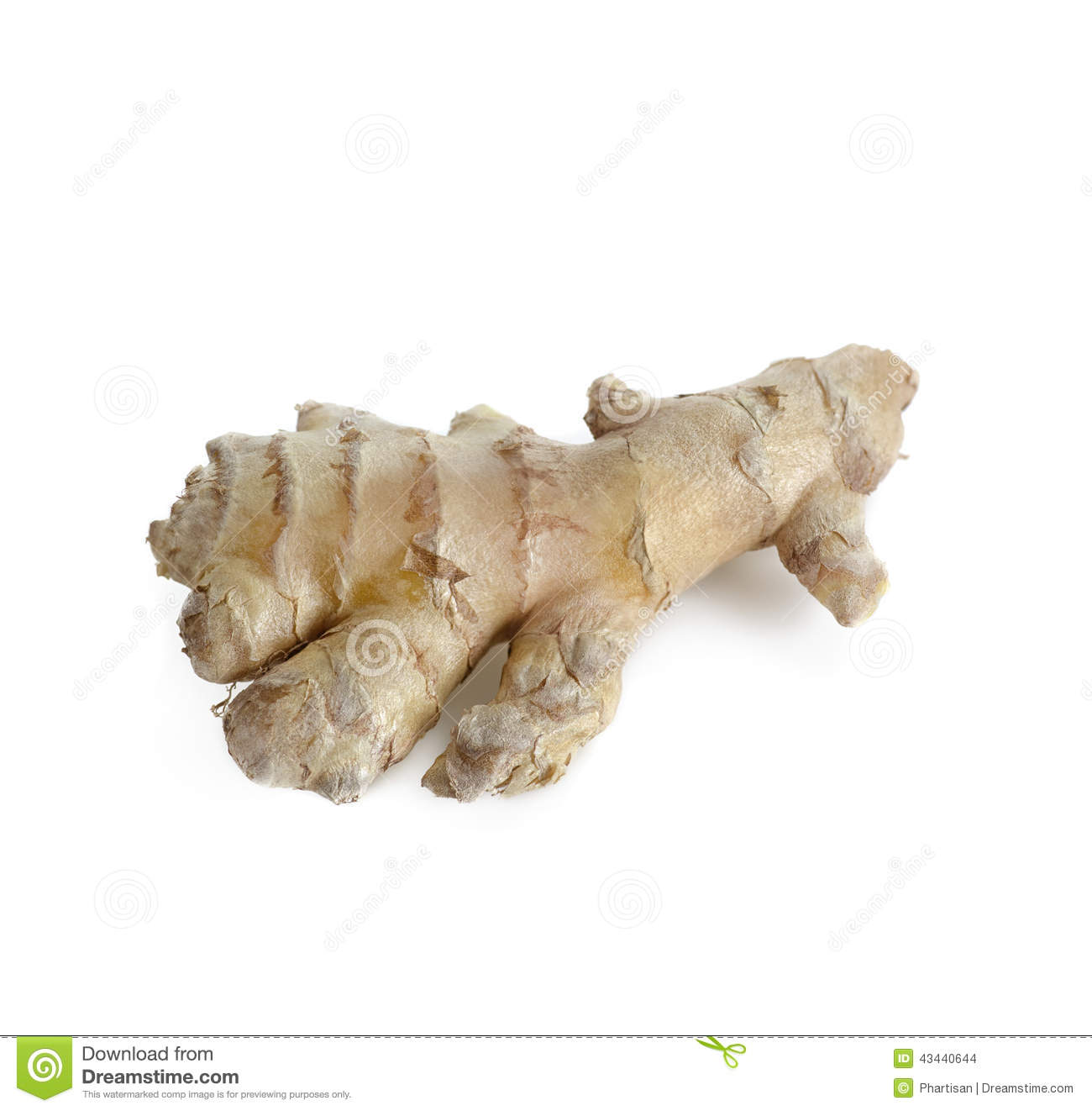 Ginger Root Stock Photo   Image  43440644