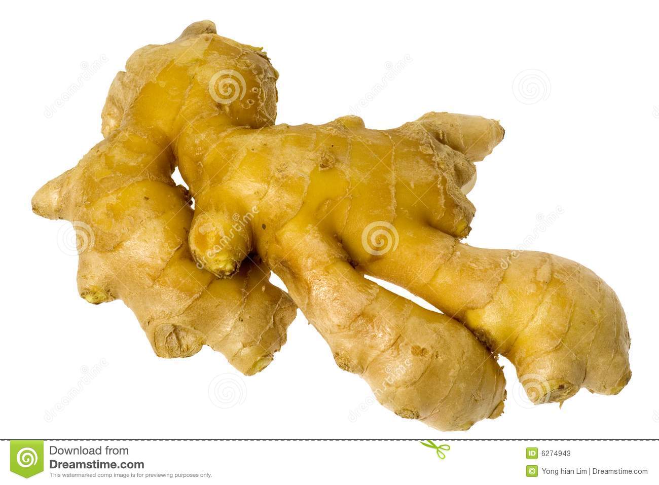 Ginger Root Stock Photos   Image  6274943