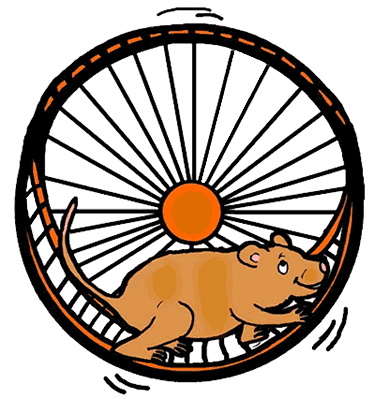 Hamster Running On A Wheel