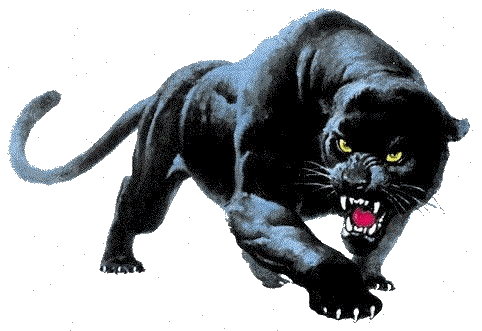 Panther Gifs Bilder  Panther Bilder  Panther Animationen 