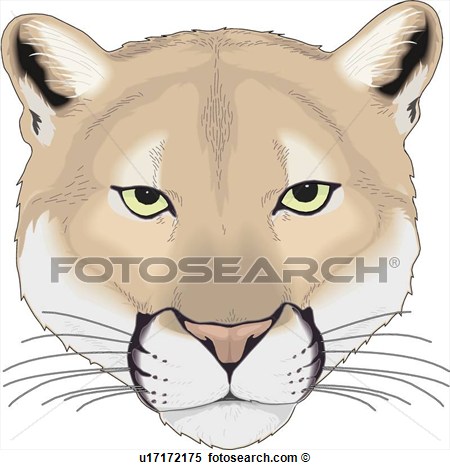 Clipart   Cougar   Fotosearch   Search Clip Art Illustration Murals