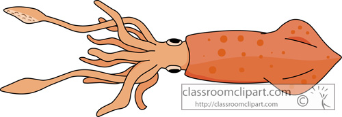 Marine Life Clipart   Mollusks Giant Squid 713   Classroom Clipart
