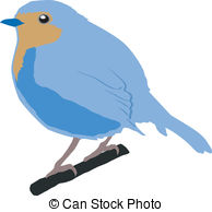Robin Illustrations And Clipart