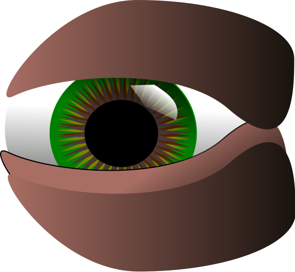 Bloodshot Eyeball Clipart 17831 Eye Art Design Png