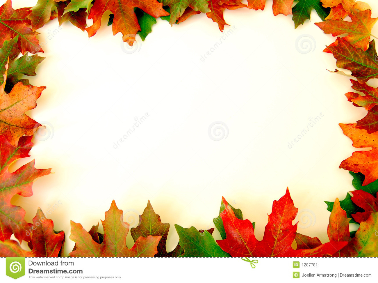 Stock Image Fall Leaves   