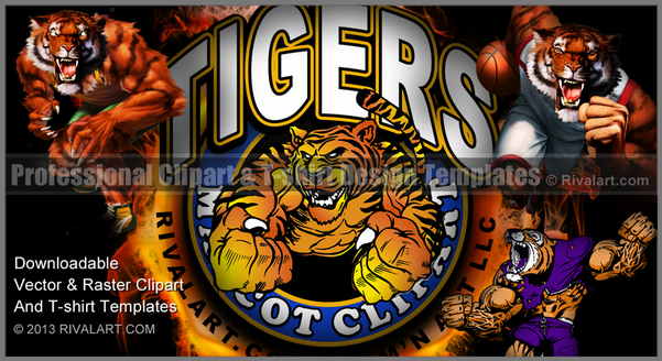 Tiger Clipart And Graphics For Tiger Designs