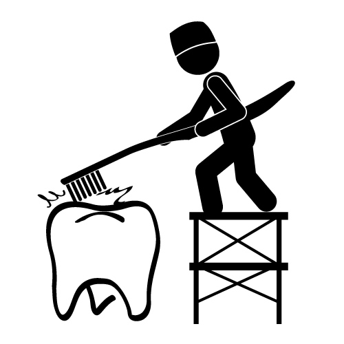 Cleaning Of The Teeth   Tooth Clip Art   Free Material