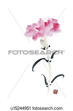 Carnation Ink Brush Painting White Background Cut Out Copy Space